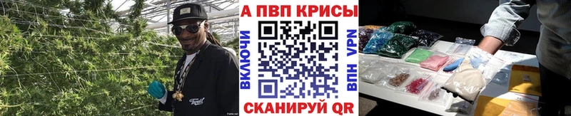 A-PVP СК  Новоржев 