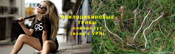 PSILOCYBIN Верхнеуральск