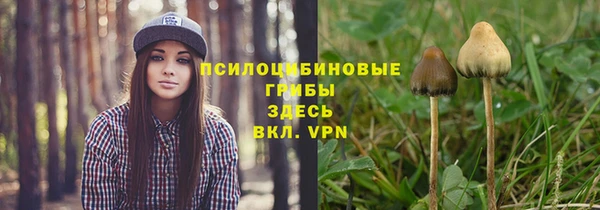 PSILOCYBIN Верхнеуральск