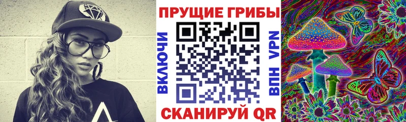 купить закладку  Новоржев  гидра зеркало  Псилоцибиновые грибы Psilocybe 